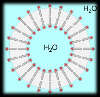 Nanofarmacie a nanofarmakologie Průměr 20-5000 nm LIPOSOMY Lipofilní i hydrofilní charakter.