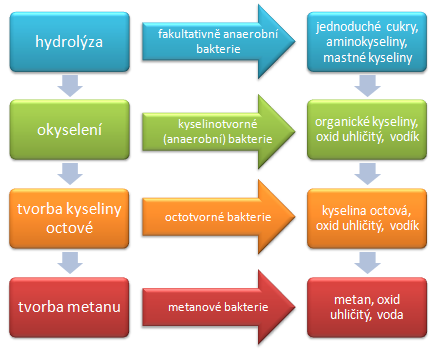 2 Výroba bioplynu 2.1 Teorie vzniku bioplynu Bioplyn (BP) je směs plynů, z nichţ hlavní je metan a oxid uhličitý.