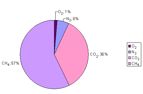 2.3 Kvalita bioplynu Kvalita bioplynu je definována poměrem sloţky metanu (CH 4 ) ku neţádanému oxidu uhličitému (CO 2 ). Obvyklý podíl metanu v bioplynu se pohybuje v rozmezí 50 aţ 75 %.