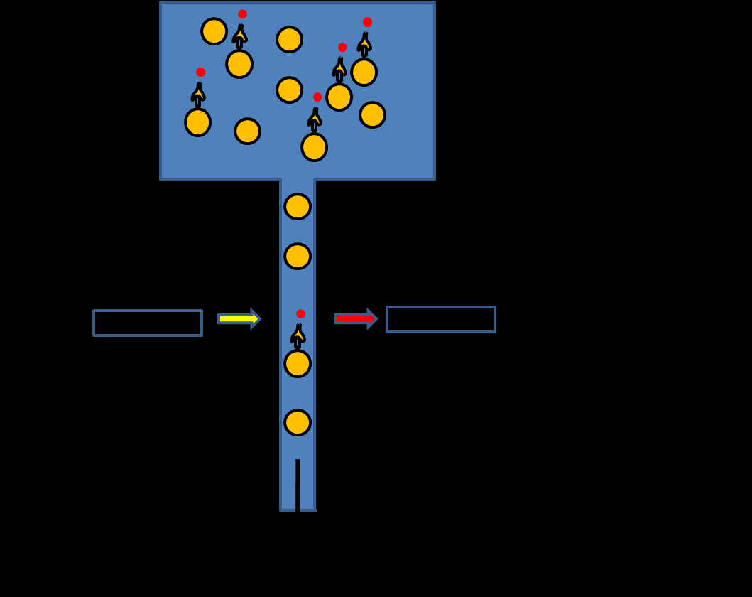 Stanovení exprese povrchových markerů lidských embryonálních KB metodou průtokové cytometrie Lidské embryonální KB mají na svém povrchu molekuly (markery), které jsou charakteristické jen pro