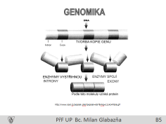 B. GENOMIKA V pořadí druhá prezentace obecné části výukového programu se zabývá základy vědního oboru genomika. Na snímku B4 je vymezen a blíže specifikován předmět.