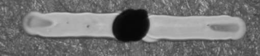 Kompletně tištěné FET tranzistory pro UTLRA LOW COST RFID (Berkeley, 2005) Optická mikrofotografie struktury hradla a konečný vzhled tištěného