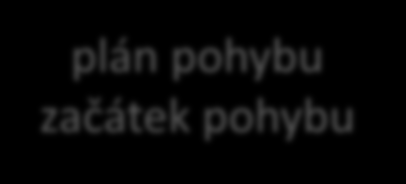 začátek pohybu thalamus primární motorická kůra (M1) vykonání pohybu mozkový