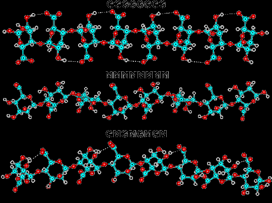 Chemická struktura alginových kyselin Alginové kys. představují lineární nerozvětvené polymery skládající se z b-(1 4)- D-mannuronové kyseliny (M) a a-(1 4)- L- guluronové kyseliny (G) Alginové kys.