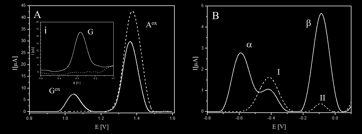 Obr. 2. A) AdTS SWV záznamy A25 prodlouženého TdT reakcí se 7 M dgtp (plná čára), neprodloužená kontrola (čárkovaná čára). PGE, E i = 0.2 V, E end = 1.