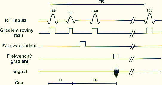 nadbytečné paralelní protony do antiparalelní polohy) použijeme 90 puls, po kterém získáme příčnou magnetizaci i měřitelný signál.