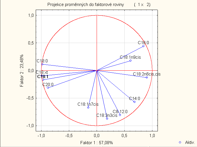 Obr. 2: Projekce