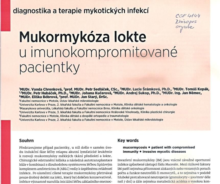 Zygomykózy: Rhizopus, Lichtheimia