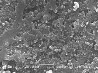 Charakterizace konjugátu Fe 3 O 4 @SiO 2 -I istogram distribuce hydrodynamické velikosti částic (DLS) 115 ± 60 nm