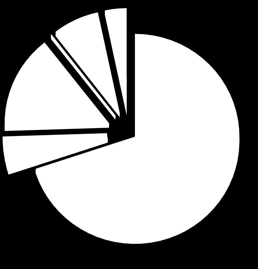 4.2 Počet ošetřených ambulantních pacientů dle pojišťoven Počet pacientů v roce 27 % 7% 3% VZP 14% Vojenská Hutnická % 2% 1% 2% Oborová Škoda Vnitro