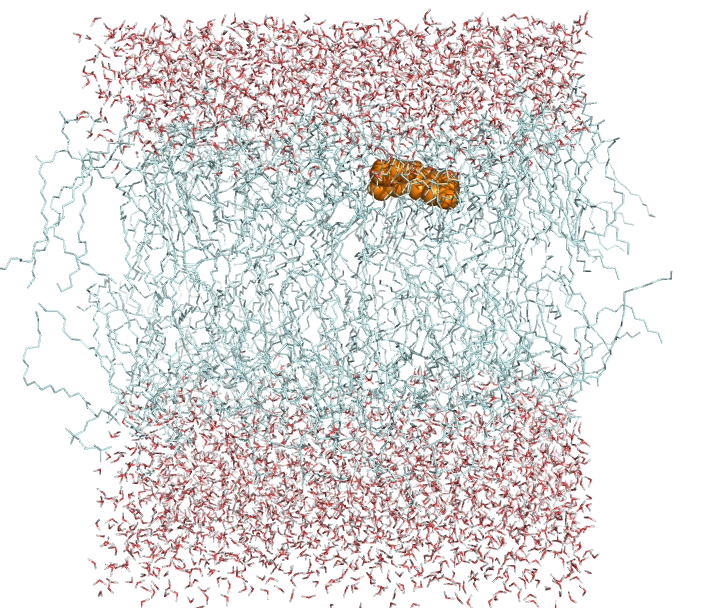 4L-07 INTERACTION OF POLYPHENOLS WITH LIPID MEMBRANES: A MOLECULAR DYNAMIC POINT OF VIEW PAVLÍNA KOŠINOVÁ, TEREZA HERDYCHOVÁ b, MICHAL OTYEPKA b, PETR JUREČKA b, JEAN-LUC DUROUX nd PATRICK TROUILLAS