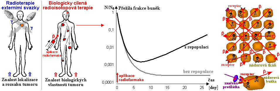 Biologicky cílená radionuklidová terapie otevřenými zářiči Koprodukce dvou základních faktorů: Fyzikální faktory - druh radionuklidu, druh emitovaného záření (a,b,g ) a jeho