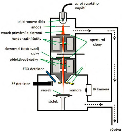 Obr. 1: Schéma skenovacího elektronového mikroskopu. Zdroj: Studijní text k praktikům MFF k úloze (A24) Využití rentgenové ED analýzy v materiálovém výzkumu, http://physics.mff.cuni.