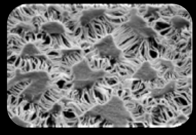 dráhy = větruodolnost polytetrafluoroetylen PTFE(teflon), fluoropolymerní produkty