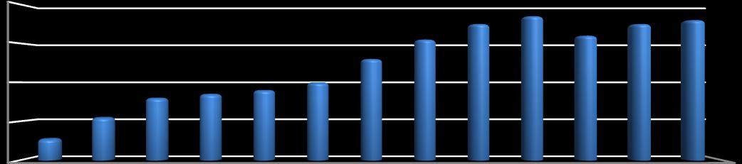 V roce 1999 činil necelých 50 milionů EUR, ale díky investiční činnosti a modernizaci, kterou společnost v té době procházela, nastal rychlý růst.