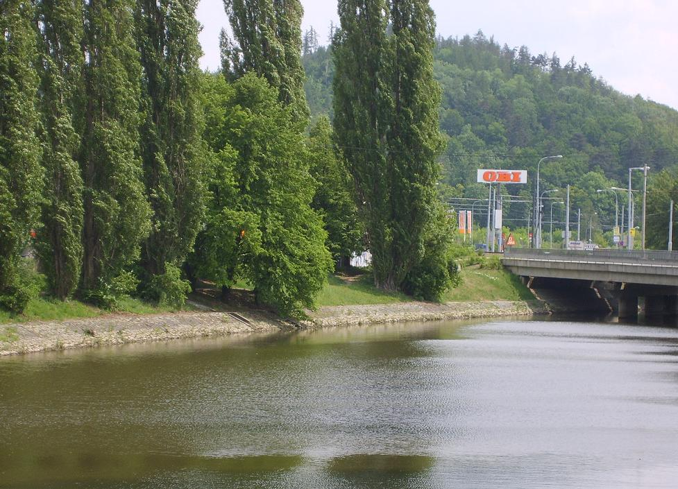 Obrázek 13 21. 4. 2009 jsem do dvou 50l nádob odebrala 100 l říční vody ze Svratky v Brně Bystrci, nedaleko od jejího výtoku z přehrady.