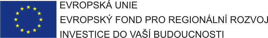 VÝZVA K PODÁNÍ NABÍDKY A ZADÁVACÍ DOKUMENTACE Ve smyslu 38 zákona č. 137/2006 Sb.