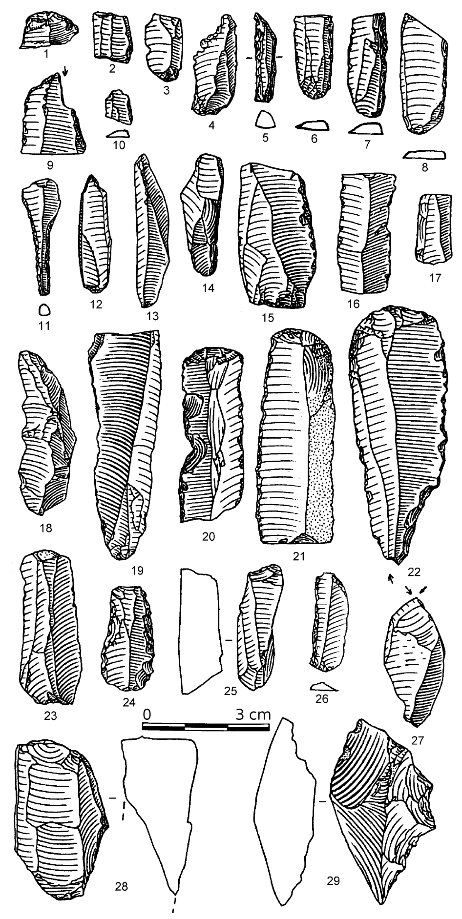 Zprávy o výzkumech za rok 2008: Paleolit a mezolit site in a nearby forested area, or they may be associated with the Lhánice I, II, and Mohelno-Boleniska sites. MOKRÁ-HORÁKOV (K. Ú. HORÁKOV, OKR.