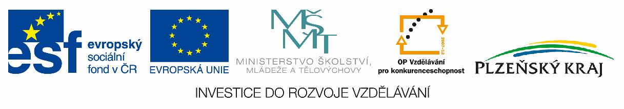 NÁSTROJŮ PRO PEDAGOGY Projekt