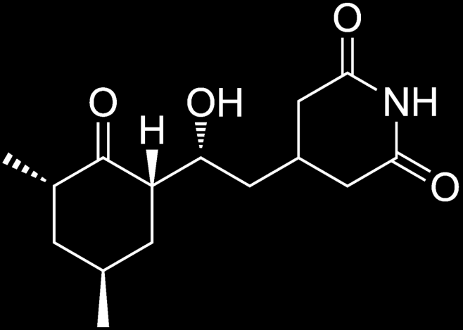 Detekce přítomnosti antibiotika v tekutém médiu Cykloheximid (Actidione) přirozeně produkovaný bakterií Streptomyces griseus Yersinia pestis, Mycobacterium tuberculosis (Waksman 1952 Nobelova cena)