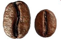 CoffeeSensor Pro CoffeeSensor Pro Požadavek zakazníka. Pokud použiji nová kávová zrna, síla nápoje se náhle změní a neodpovídá mým požadavkům.