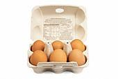 2.5.4 Vejce Přirozené složení slepičích vajec zajišťuje jejich vysokou výživovou hodnotu a při vhodné tepelné úpravě i mají i velice dobrou stravitelnost.