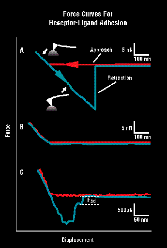 Nezobrazující techniky Měření sil (F-d spektroskopie)