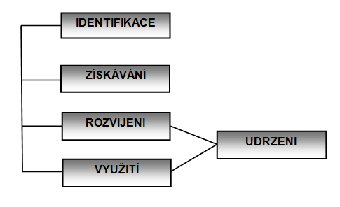 Proces TM začíná identifikací talentovaného člověka a končí využíváním jeho způsobilostí. HR oddělení v organizaci tedy postupuje při práci s talentovanými (klíčovými) zaměstnanci v těchto krocích: F.