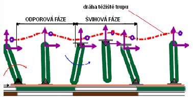 UTB ve Zlíně, Fakulta aplikované informatiky 25 odborně nazývá bipedální lokomoce.