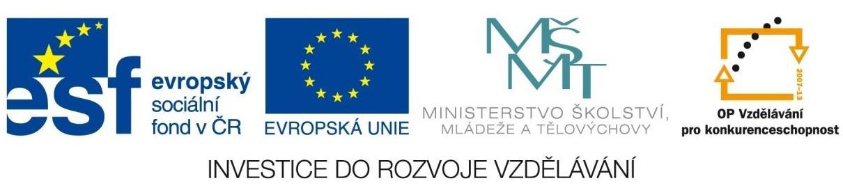 ERUDIK - Rozvoj kompetencí pracovníků a vedoucích pracovníků škol KOMUNIKAČNÍ A PREZENTAČNÍ DOVEDNOSTI