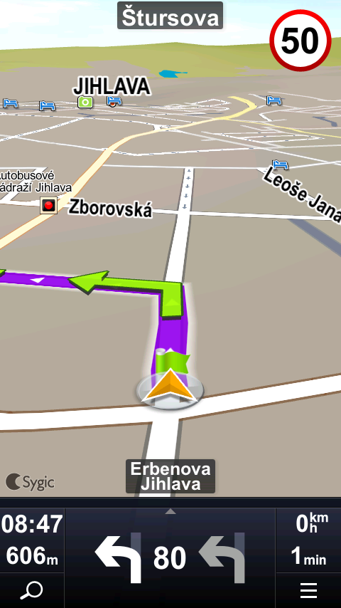 Sygic nabízí verzi Sygic Fleet. SygicFleet je samostatná aplikace, které umožňuje zabudovat navigaci do jiných aplikací na platformách Windows, Android, Linux.