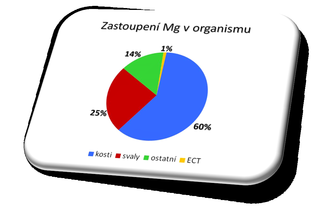 Mg v organismu lidí V lidském