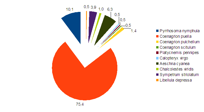 V dřívějších letech se občas v okolí, obvykle na blízké pastvině, vyskytla Bufo bufo a Pseudepidalea viridis, ale v Rybníku se nerozmnožují.