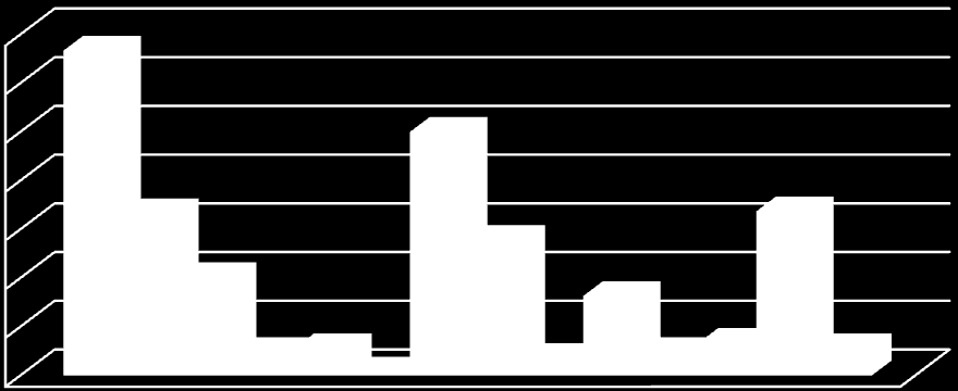 Komplex vitaminů a min.l. 85 33,7 Jiná možnost 14 5,6 Graf 7.