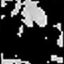 5044dB SNR = 5.4375dB MSE = 0.0089035 SSIM = 0.55833 PSNR = 22.4287dB SNR = 7.3618dB MSE = 0.0057164 SSIM = 0.63827 PSNR = 6.4334dB SNR = -8.6336dB MSE = 0.22733 SSIM = 0.10385 PSNR = 18.