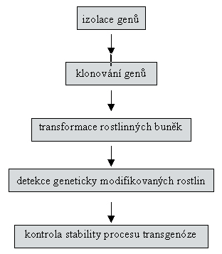 materiálu do dědičného materiálu organismu nebo vynětí část genetického materiálu organismu.