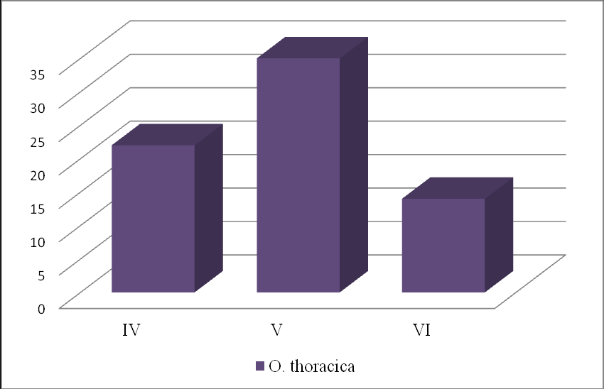 Obr.11.