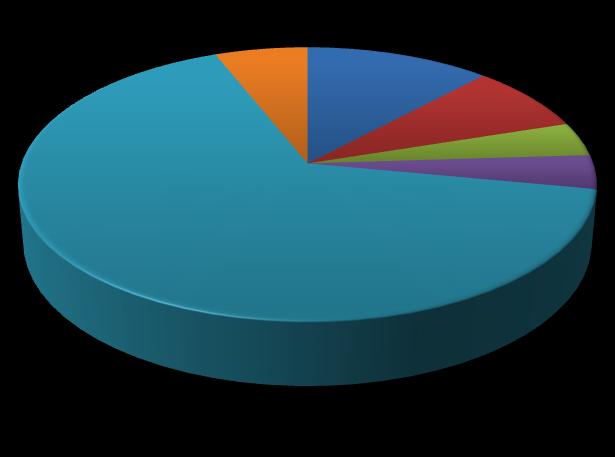 Pokud zde budete nocovat, v jakém zařízení to převáţně bude? hotel 6% 12% 8% 4% 4% kemp/tábořiště ubytování v soukromí 66% chata/chalupa u známých/příbuzných penzion Graf č.