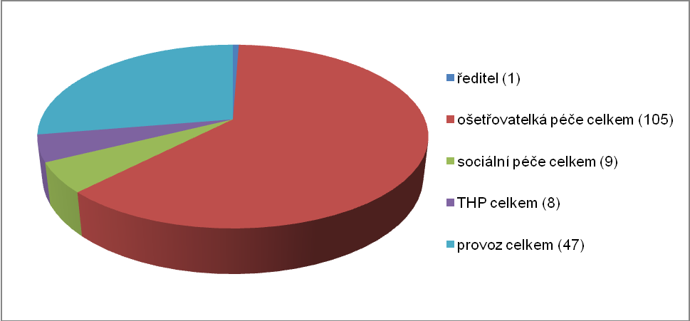 Nejvíce zaměstnanců zahrnovaly samozřejmě v roce 2013 pracovní pozice ošetřovatelské péče (viz. Graf 10 a Příloha 3).