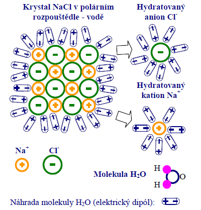 Obr. 4: Disociace látek s iontovou mřížkou [5] Při rozpouštění látky v polárním rozpouštědle nikdy nedocílíme toho, že všechny molekuly elektrolytu budou disociovány na ionty.