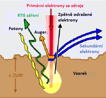 detekovány odražené elektrony (BSE), které jsou ovlivněny atomovým jádrem a přináší více informací o vzorku [38].