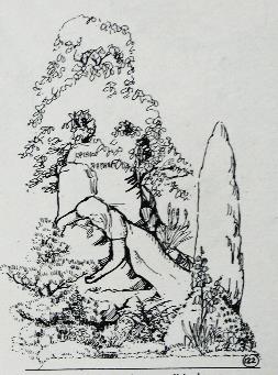 Květinový detail v tvorbě významných zahradních tvůrců poloviny 19. a počátku 20. století Květinový detail VÝSADBA TRVALÁ: 1. 1 Betula pendula 'Youngi' 10., 18. 25 Primula 'Wanda', mezi ně 2.
