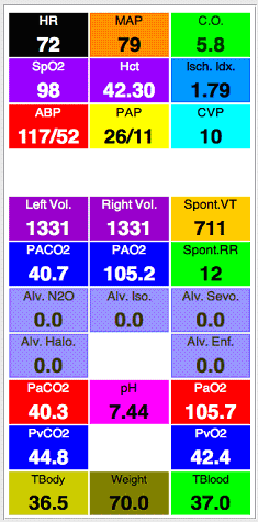 Parametry simulovaného monitoru vitálních funkcí HR tepová frekvence C.O. srdeční výdej SpO 2 saturace krve kyslíkem ABP krevní tlak PAP tlak krve v plicnici CVP žilní tlak krve Spont.