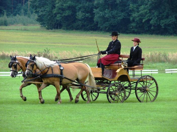 JK Bohuslavice nad Metují ve spolupráci s SK Sokol Lipiny pořádají ve dnech 14.-16.9.2007 MČR v jízdě spřežení. Představí se všechny kategorie soutěžních zápřahů, tzn.