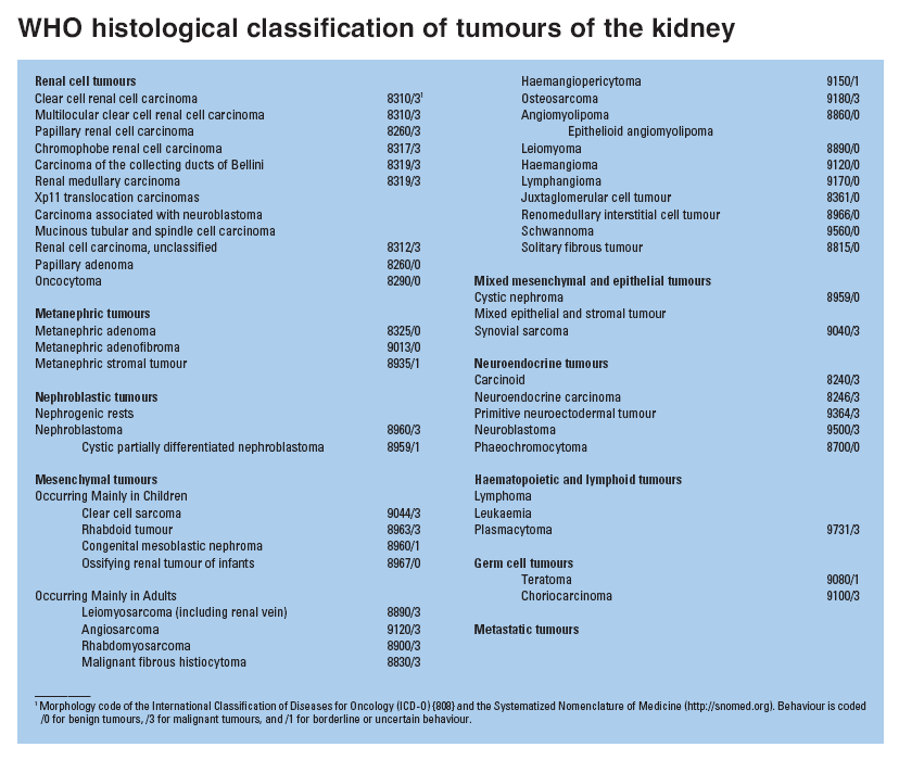 zdroj: WHO Classification of Tumours of the