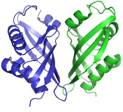 OM NESPEKTRÁLNÍ POLARIMETRIE CIRKULÁRNÍ DICHROISMUS CD v analytické praxi hodnota molární elipticity závisí na vlnové délce elektromagnetického záření nutno uvádět!