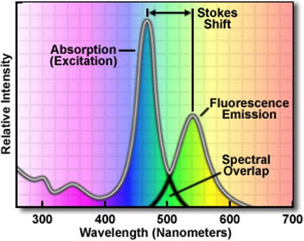 OM SPEKTRÁLNÍ MOLEKULOVÁ SPEKTROMETRIE LUMINISCENČNÍ Excitační a emisní spektrum Stokesův posun: