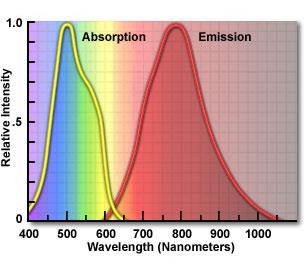 OM SPEKTRÁLNÍ MOLEKULOVÁ SPEKTROMETRIE LUMINISCENČNÍ FLUORESC. SP. Fluorescenční spektrometrie vysoká rychlost vnitřní konverze vždy na nulovou hladinu excitovaného singletového stavu S 1 k fluorescenci dochází vždy ze stejné hladiny (exc.