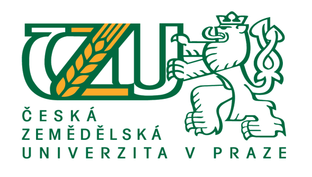 ČESKÁ ZEMĚDĚLSKÁ UNIVERZITA v PRAZE FAKULTA PROVOZNĚ EKONOMICKÁ KATEDRA EKONOMIKY Financování územních samospráv v mezinárodním kontextu