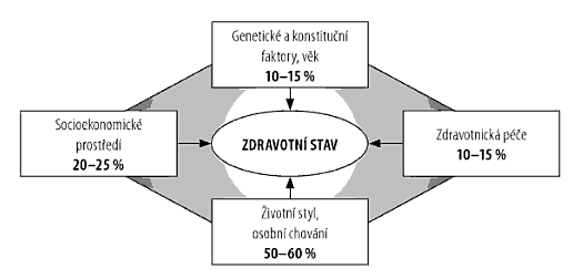 Zdravotnictví jako celek se veřejnému statku skutečně blíţí, např. bezpečnostní opatření proti vypuknutí infekčních chorob (kontroly na letišti, pravidelné rozbory zásobáren vod, výzkum apod.